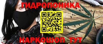 метадон Новодвинск