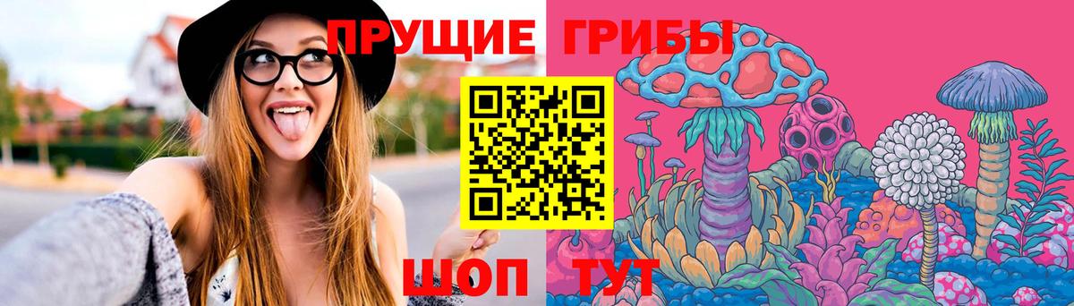 Псилоцибиновые грибы прущие грибы Туймазы