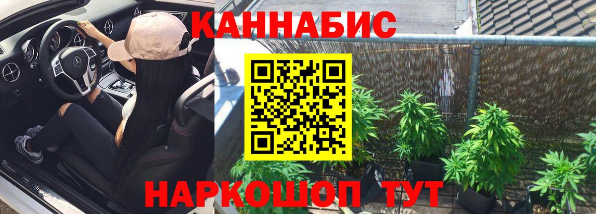 Бошки марихуана семена  Канабис семена  Туймазы  Вход с VPN  МАРИХУАНА марихуана 